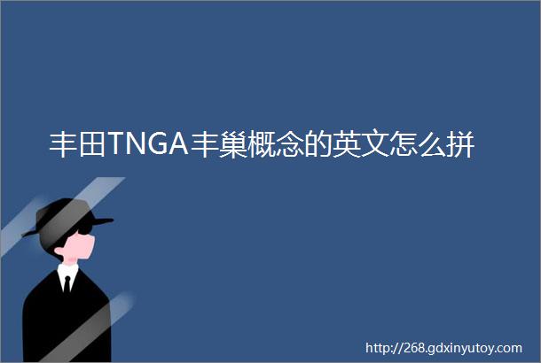 丰田TNGA丰巢概念的英文怎么拼